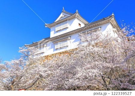 【岡山県】快晴下の津山城の満開桜(備中櫓) 【岡山県】快晴下の津山城の満開桜(備中櫓) 122339527