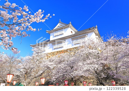 【岡山県】快晴下の津山城の満開桜(備中櫓) 【岡山県】快晴下の津山城の満開桜(備中櫓) 122339528