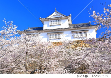 【岡山県】快晴下の津山城の満開桜（備中櫓） 122339529