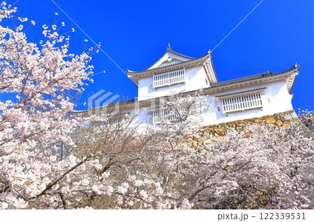 【岡山県】快晴下の津山城の満開桜（備中櫓） 122339531
