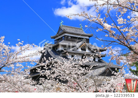 【島根県】桜が満開の松江城天守閣(国宝) 【島根県】桜が満開の松江城天守閣(国宝) 122339533
