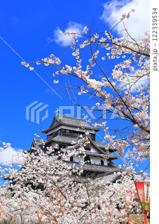 【島根県】桜が満開の松江城天守閣(国宝) 【島根県】桜が満開の松江城天守閣(国宝) 122339534