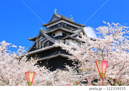 【島根県】桜が満開の松江城天守閣(国宝) 【島根県】桜が満開の松江城天守閣(国宝) 122339535