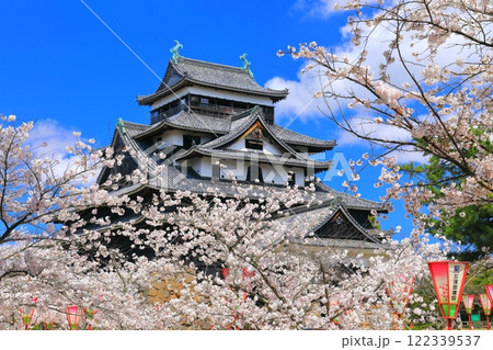 【島根県】桜が満開の松江城天守閣（国宝） 122339537