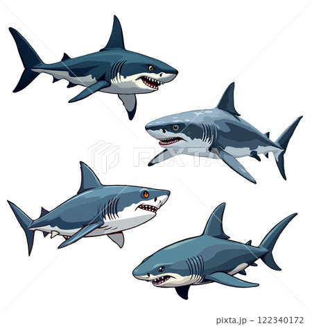 サメのイラスト 122340172