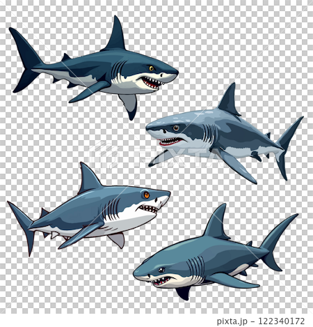 サメのイラスト 122340172
