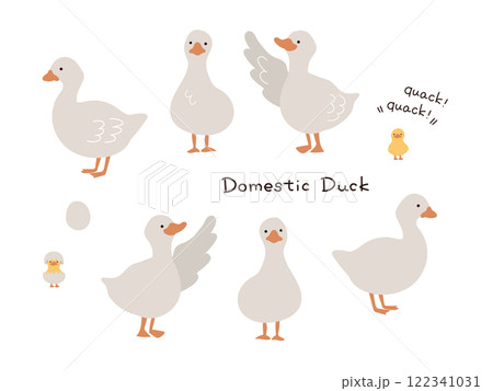 白背景で手描きのアヒルのイラストセット 122341031