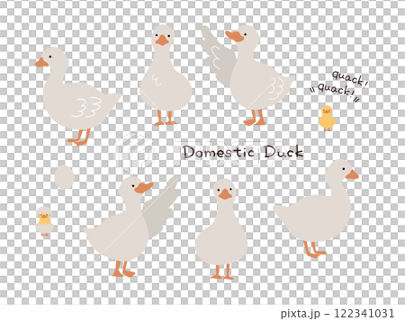 白背景で手描きのアヒルのイラストセット 122341031