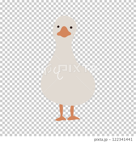 Hand-drawn illustration of a duck facing forward Hand-drawn illustration of a duck facing forward 122341441