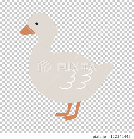 Hand-drawn illustration of a duck looking sideways Hand-drawn illustration of a duck looking sideways 122341442