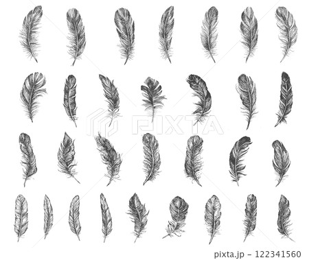 Feather set hand drawn	 122341560