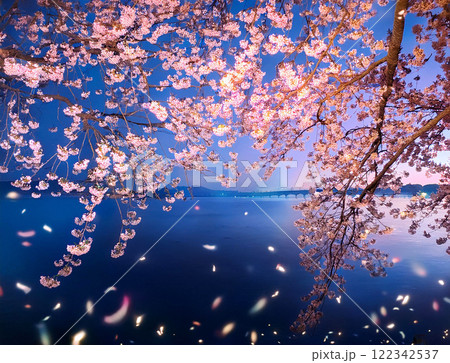ライトアップされた夜桜 122342537