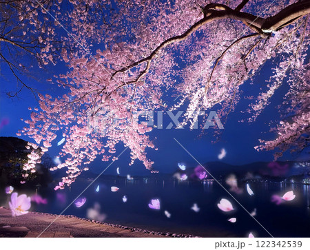ライトアップされた夜桜 122342539