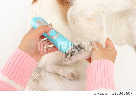 犬の爪切りとケアの様子、家庭でのトリミングシーン 犬の爪切りとケアの様子、家庭でのトリミングシーン 122342607