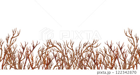 Brown tree branches without leaves and flowers isolated on a white background. Floral botanical frame. Watercolor template for flowering cherry, apple, peach, almond trees, Halloween, landscaping. Brown tree branches without leaves and flowers isolated on a white background. Floral botanical frame. Watercolor template for flowering cherry, apple, peach, almond trees, Halloween, landscaping. 122342870