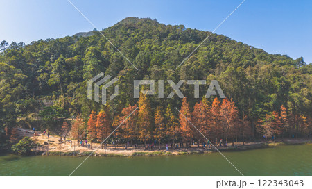 View of A Scenic Lakeside Autumn Walking Path Jan 11 2025 122343043
