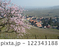 フランスアルザス　ワイン畑の春　Riquewihr_Alsace 122343188