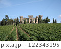 フランス　シャトーヌフ・デュ・パプの城　Châteauneuf du Pape 122343195