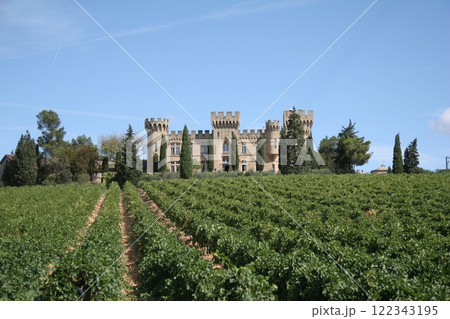 フランス シャトーヌフ・デュ・パプの城 Châteauneuf du Pape フランス シャトーヌフ・デュ・パプの城 Châteauneuf du Pape 122343195