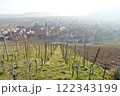 フランス　アルザス　ワイン畑の春　Riquewihr_Alsace 122343199