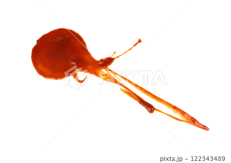 Red tomato sauce ketchup stains and smears 122343489