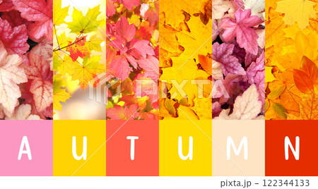 Season of year. Autumn horizontal nature banner with bright colourful leaf of maple, rowanberry and birch. Nature collage with fall seasonal scenes. Copy space for text Season of year. Autumn horizontal nature banner with bright colourful leaf of maple, rowanberry and birch. Nature collage with fall seasonal scenes. Copy space for text 122344133