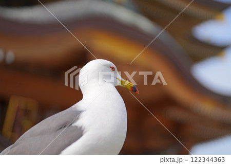 蕪嶋神社 蕪嶋神社 122344363