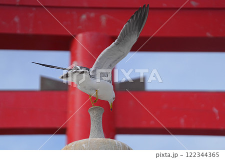 蕪嶋神社 蕪嶋神社 122344365