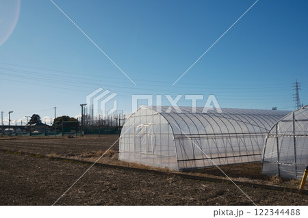冬の畑とビニールハウスと青い空 冬の畑とビニールハウスと青い空 122344488