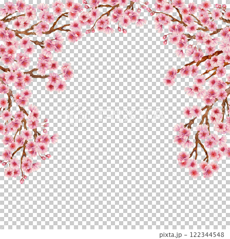 Frame of branches with pink cherry blossoms of the Japanese Hanami festival isolated on a white background. Botanical design in lilac pink color, in sunrise palette. Watercolor template for wedding 122344548