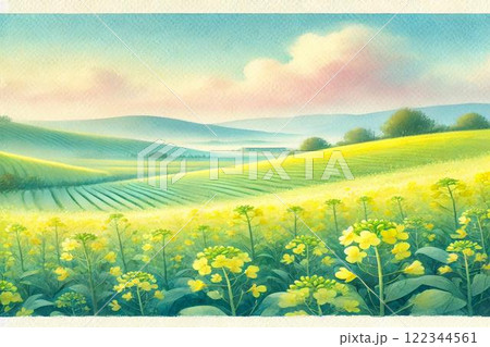 菜の花畑 122344561