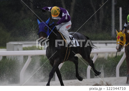 園田地方競馬➉ 122344710