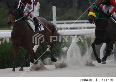 園田地方競馬⑤ 園田地方競馬⑤ 122344716