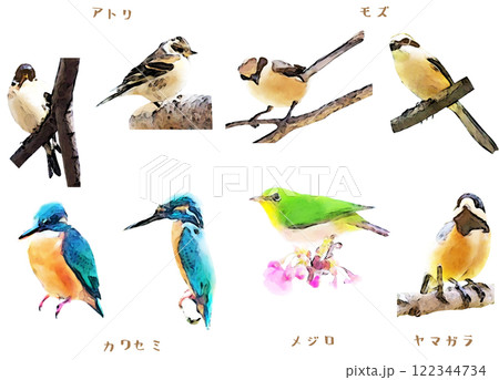 小鳥の素材セット 122344734
