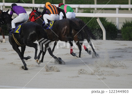園田地方競馬⑭ 122344903