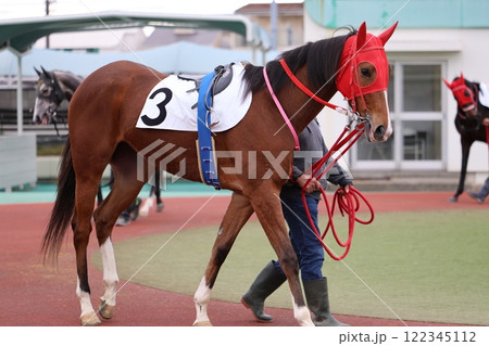 園田地方競馬パドック➃ 122345112