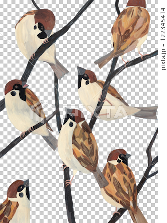 用水彩畫的樹枝上的麻雀的插圖 122345414