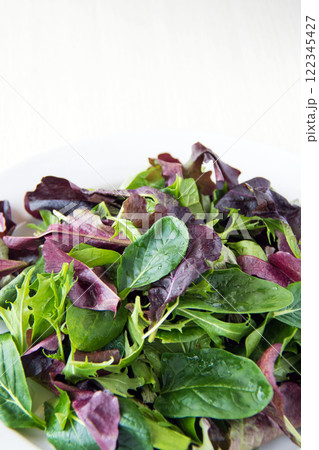 ベビーリーフのアップ 122345427