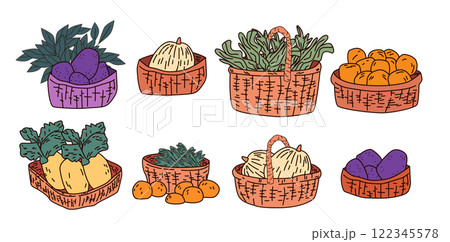 Basket of vegetables and fruits colorful produce illustration with various items like eggplants oranges leafy greens in wicker baskets hand-drawn style 122345578