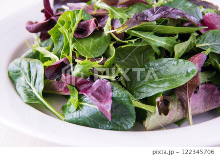 白い皿に盛ったベビーリーフ 122345706
