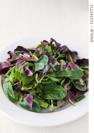 白い皿に盛ったベビーリーフ 122345712