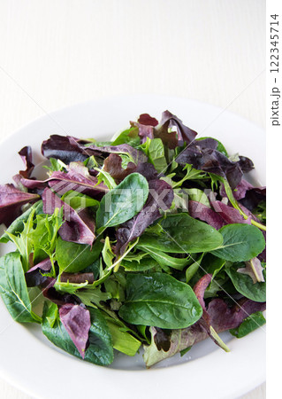白い皿に盛ったベビーリーフ 122345714