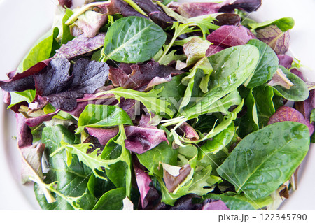 白い皿に盛ったベビーリーフ 122345790