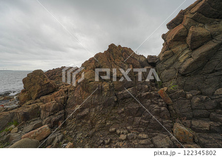 椿海岸 122345802