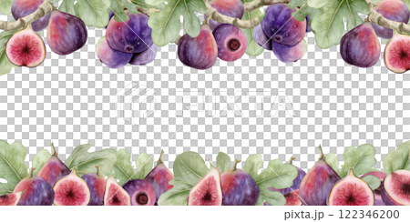 Horizontal figs fruits watercolor banner isolated on white. Hand drawn illustration frame or long label template with copy space. Summer berries on tree branches for tropical food designs Horizontal figs fruits watercolor banner isolated on white. Hand drawn illustration frame or long label template with copy space. Summer berries on tree branches for tropical food designs 122346200