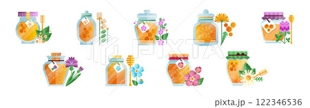 Honey in Glass Jar with Dipper and Meadow Flower Vector Set 122346536