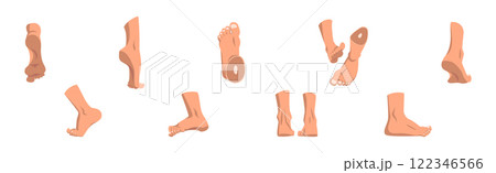 Human Feet as Body Part with Ankle Vector Set 122346566