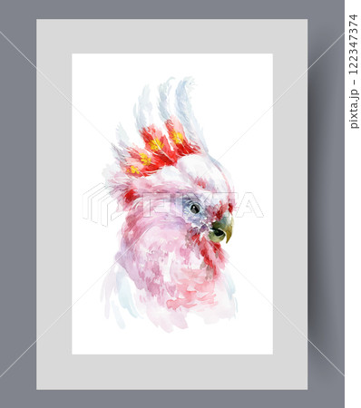 Cockatoo parrot with white feathers on its head and open beak on print. Watercolor artwork 122347374