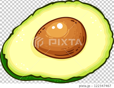 Avocado Fruit with Seed Colored Detailed Illustration 122347467