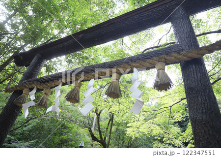 野宮神社　ののみやじんじゃ　京都　嵐山　嵯峨野 122347551
